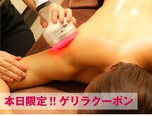 ベラドンナ(Bella Donna)