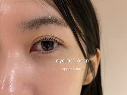 イオレ(IOLE)の写真