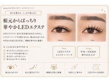 サロン ド ブランシェ(Salon de Branchee)/LEDマツエクでぱっちり華やか★