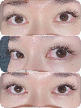 アイラッシュマルヴァ(Eye Lash Malva)/