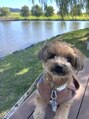 クレヴィア(Crevia)&nbsp;お休みの日は愛犬とお出かけしてます(>_<)
