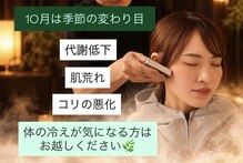 ヨサパーク ヌック サカイ 鉄砲町店(YOSA PARK nucc)