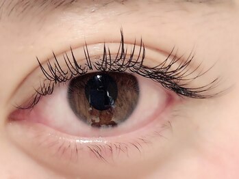 カラン 焼津店(CALIN)/フラットラッシュ120本