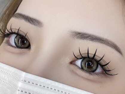 エマ(emma)の写真