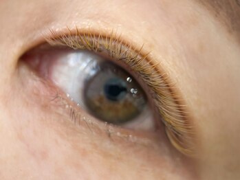 ヘアアンドアイラッシュ テクテク(teku teku)/ボリュームラッシュ　ボリューム