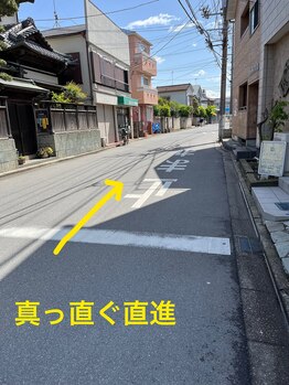 ハチ(Hachi)/道順2