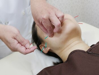 しろくま鍼灸院/確かな技術力