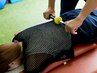 【腰痛、お尻の痛み、下半身中心】ローリング全身調整７０分　¥8,800→¥3,980
