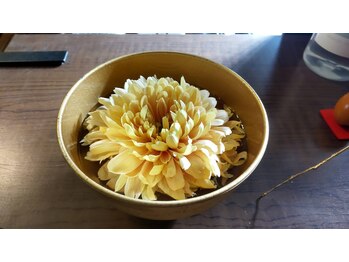 ととろはりきゅう院/季節の店内の様子