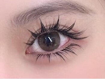シーシー ネイル アンド アイラッシュ(CeCe Nail&eyelash)の写真/目元に自信がないという方にも!可愛らしい理想のお目元を叶えます☆自然な付け心地でぱっちりした目元に☆