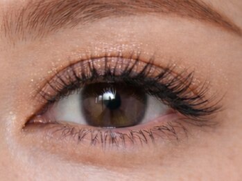 チック(chick)/迷ったらコレ！！人気No.1 100束