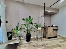 オメメ(Omeme)の雰囲気（植物に囲まれた落ち着きのある店内♪）