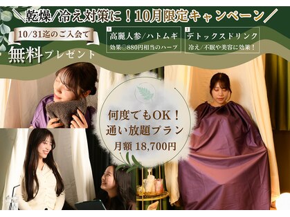 ヨモギヤ 本店(YOMOGIYA)の写真