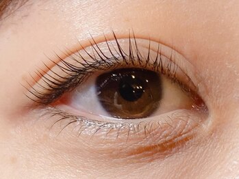 ザラボアングゥ(The Labo ungu)/