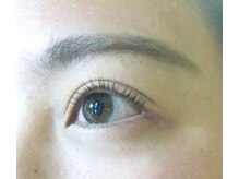 スプリング(Spring)/