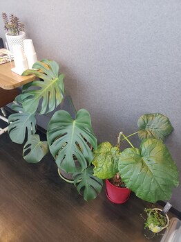 トレッドキュー 一宮店(Tread Cue)/店舗内装3