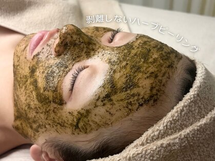 キヌ(KINU)の写真