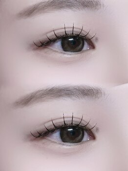 ミイプ(MEPP)/たにわき担当・フラットラッシュ