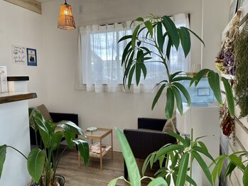 ハノン(Hanon)/待合