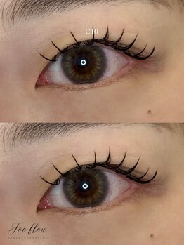 フーフロー(Fooflow)/フラットラッシュ120本