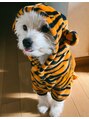 カッツ 春日店(CUT S)&nbsp;愛犬のレオ。もうすぐ5歳