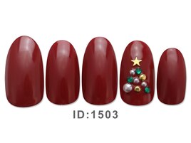 2025年1112月ジェル定額シンプル