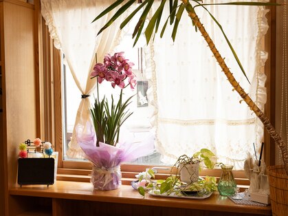 ビックス 寒河江店(BIXX)の写真