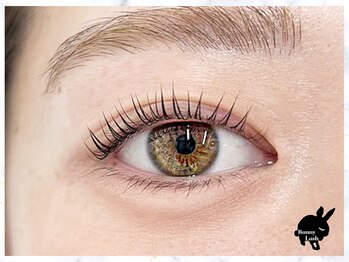 バニーラッシュ(Bunny Lash)/【まつげパーマ】