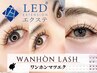 密度UP♪抜け感束感まつげ★　【LED+ワンホン/ボリュームラッシュ400本】