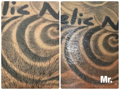 ミスター(Mr.)の写真