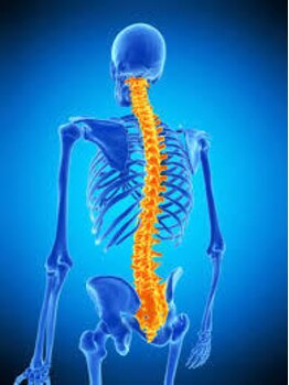 Rストレッチ/背骨のカイロプラクティック