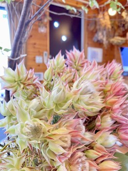 わたなべ整体院/