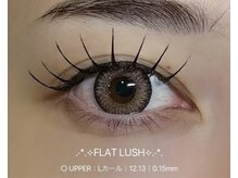 ビーナスベルト 池袋(VENUS BELT)/フラットラッシュ