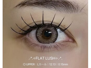 ビーナスベルト 池袋(VENUS BELT)/フラットラッシュ