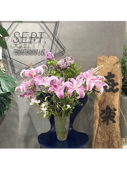 セプトきらく鍼灸整体院(Sept.)/今週のお花!