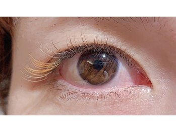 パリーアヴニール(PARIS AVENIR)/オールブラウン＋カラーエクステ