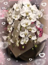 ジューム 仙台(JOOM)/