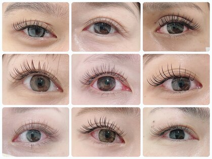 トキ(Toki)の写真