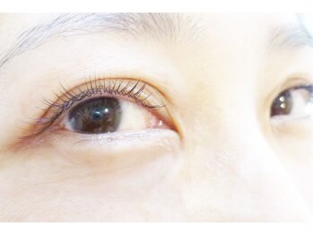 テイラー(Taylor)/ナチュラルセクシー120本 SONE