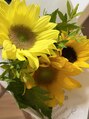 Helianthus【パラジェル/フィルイン】/haru