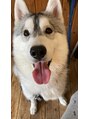 しろた整骨院 整体院&nbsp;当院の愛犬です。※院内にはいません