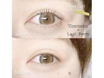 トランスモード アイラッシュ/Cosmetic Lashperm