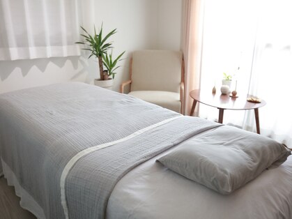 コハナ(kohana)の写真