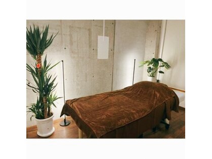 ルート(ROOT)の写真