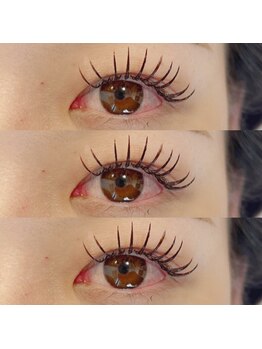 アイラッシュ ベイビーステップ(Eyelash Baby step)/バインドロック120束×カラー