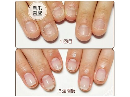 アンティクイーン(Antiqueen)の写真
