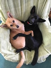 みもざ治療院&nbsp;みも ルーチェ