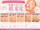 イーズ(ease)の写真