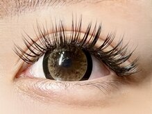 パキラ(Pachira)/【盛】MAXボリューム11,500円～