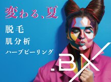 ビーエックス(.BX)